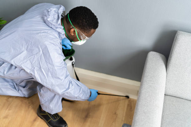 Best Pest Exclusion Services  in South Carthage, TN